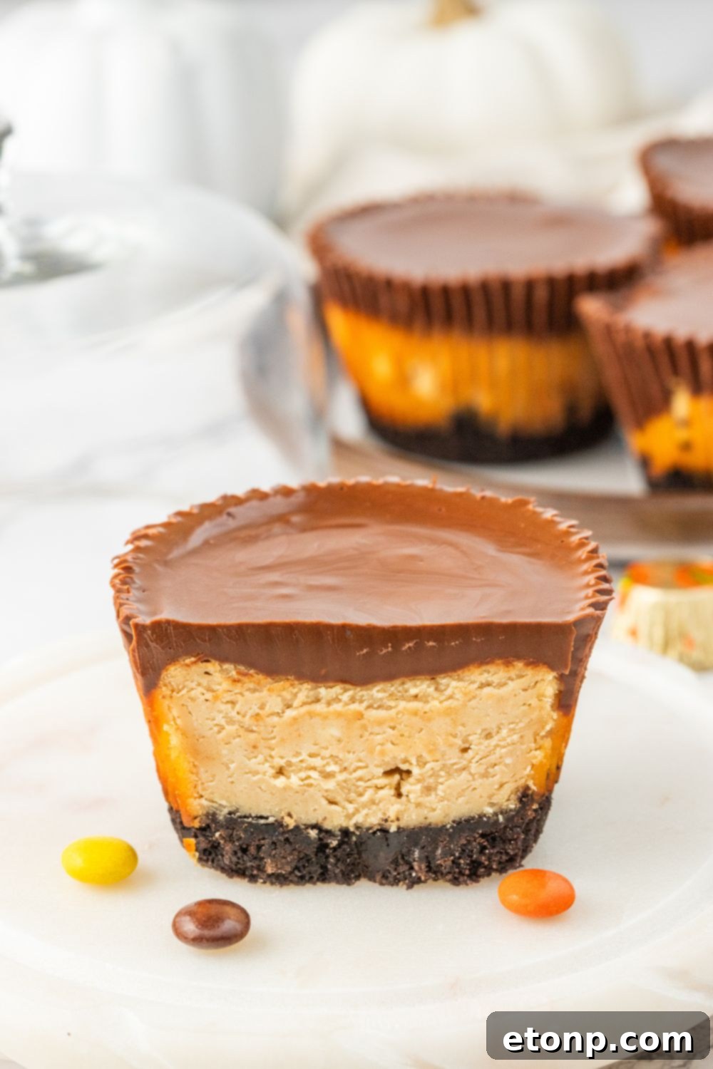 Bite-Sized Peanut Butter Cheesecakes 14 chocolate peanut butter cup cheesecake sliced on a plate, showing the topping