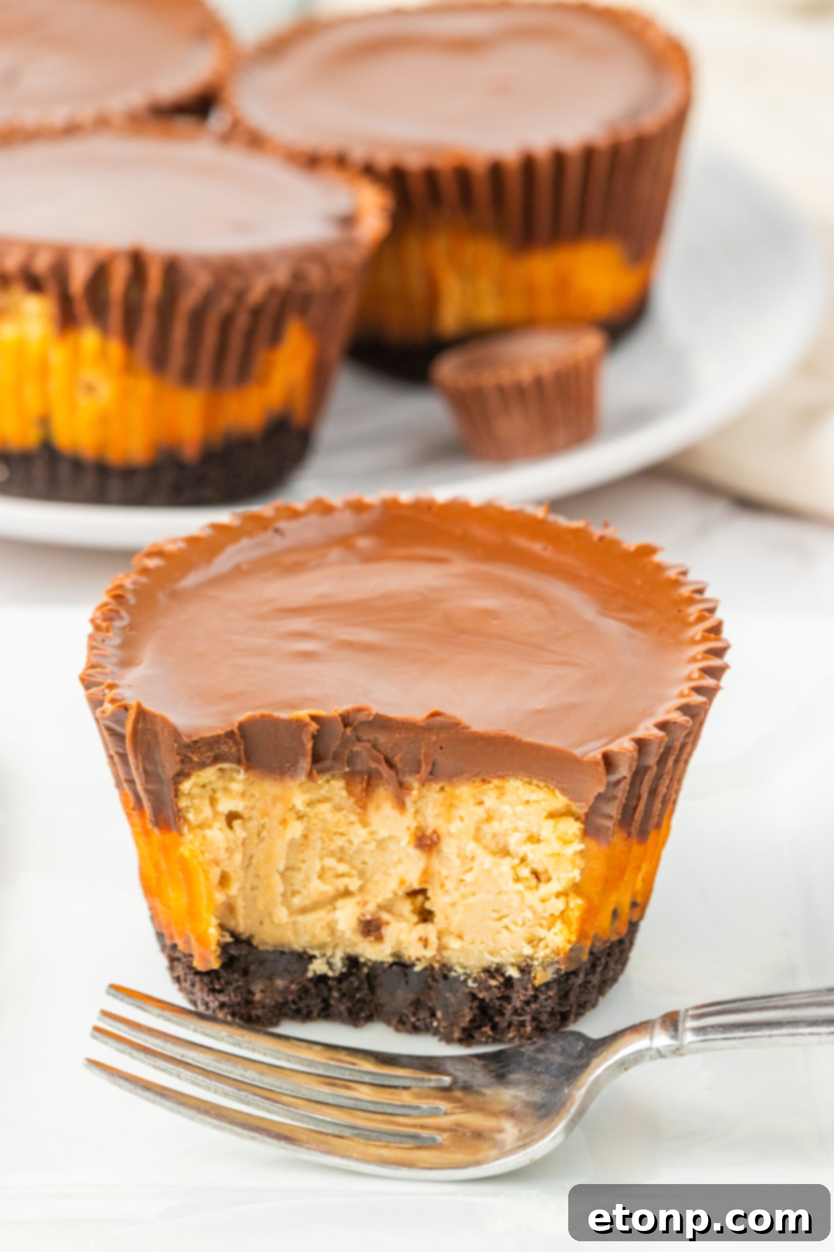 Bite-Sized Peanut Butter Cheesecakes 15 Peanut Butter Cheesecake Bite cut in half and sitting on table, close up