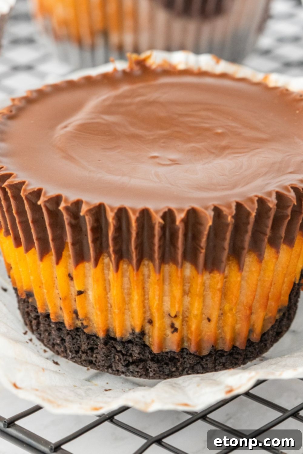 Bite-Sized Peanut Butter Cheesecakes 18 peanut butter cheesecake bite on a tray with liner taken off, ready to eat