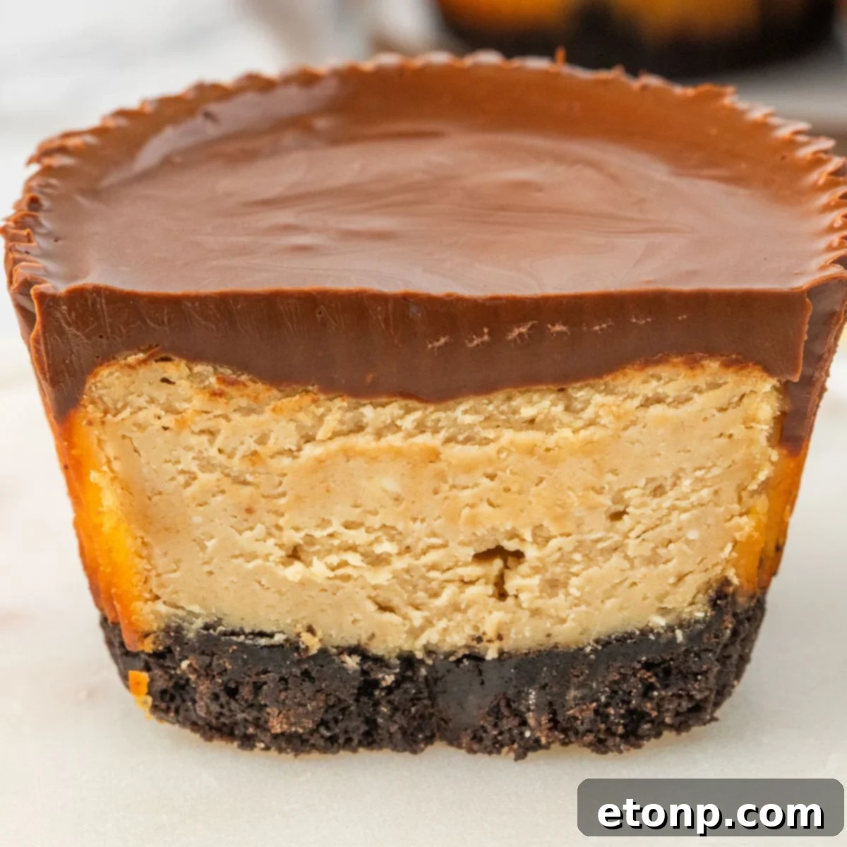 Bite-Sized Peanut Butter Cheesecakes 4 Peanut Butter Cheesecake Bite cut in half and sitting on table, showcasing layers
