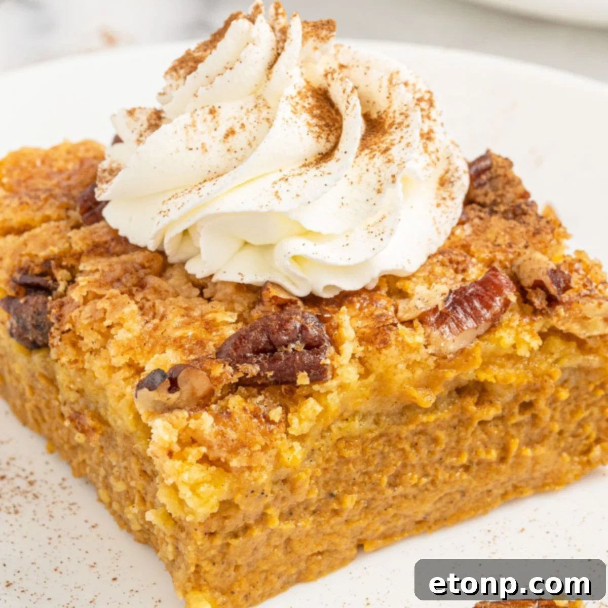 Pumpkin Streusel Cobbler 2 Pumpkin Dump Cake on plate with a dollop of whipped cream on top