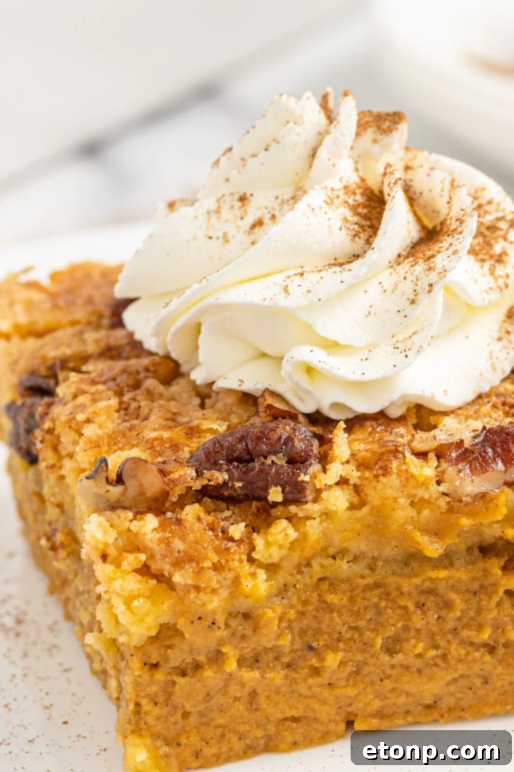 Pumpkin Streusel Cobbler 22 slice of cake on plate with whipped cream on top