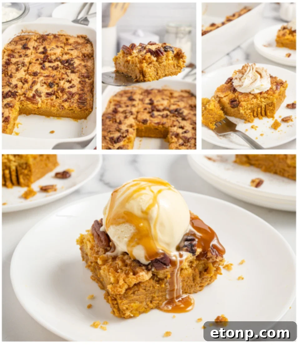 Pumpkin Streusel Cobbler 25 collage of pumpkin pie cake