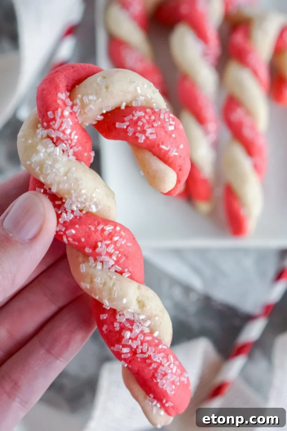 Sweet Peppermint Swirls 13 Holding a perfectly shaped candy cane cookie in hand