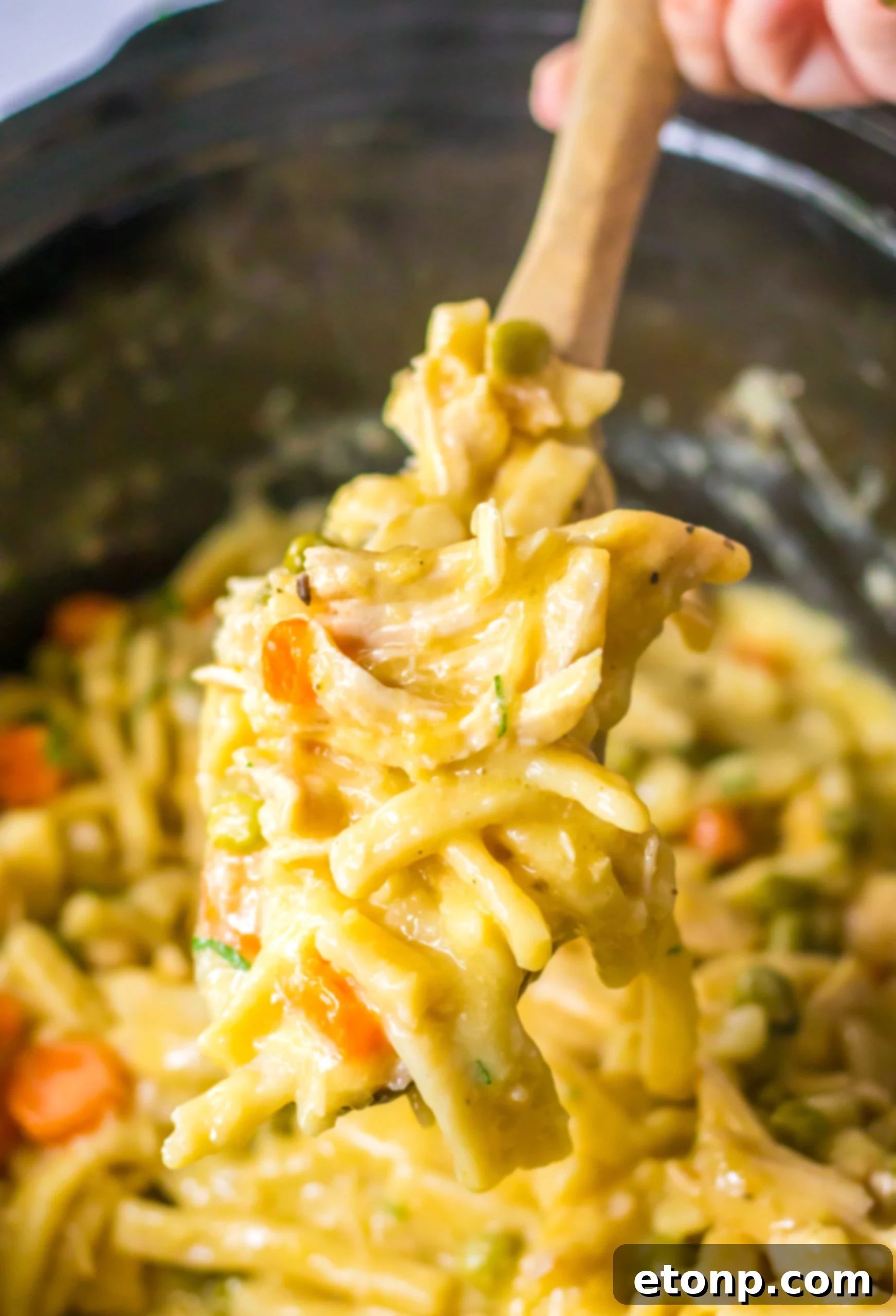 Crockpot Chicken & Noodles in a black crockpot with a spoonful being lifted up