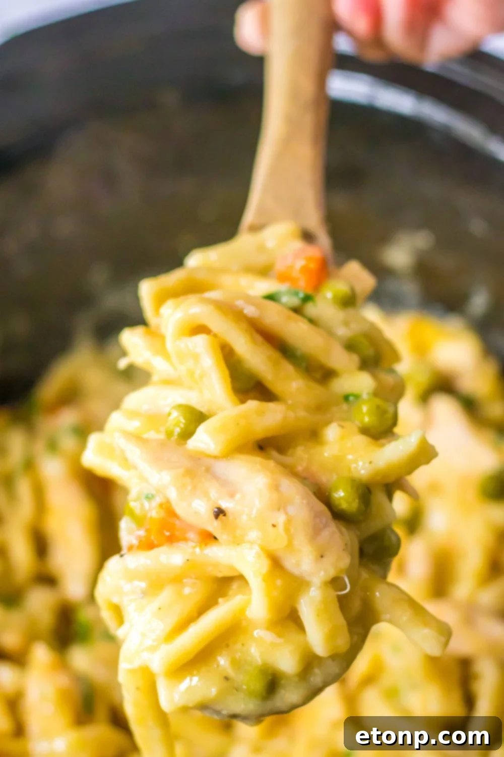 Crock Pot Chicken and Noodles on a wooden spoon