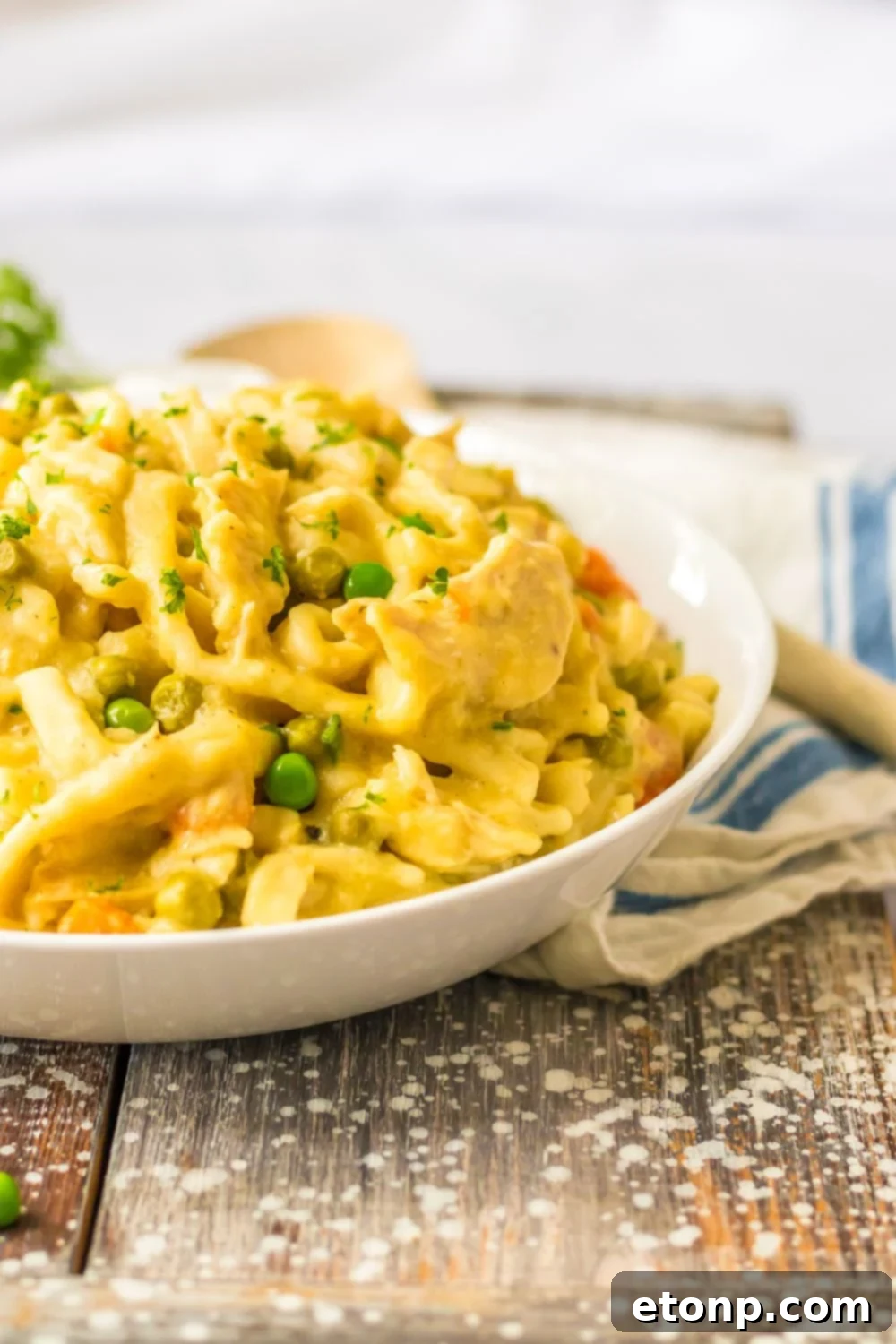 bowl of chicken and noodles