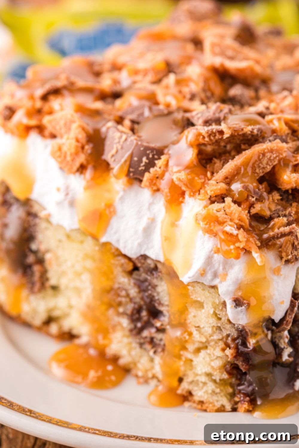 cake on a plate with a close up view of it