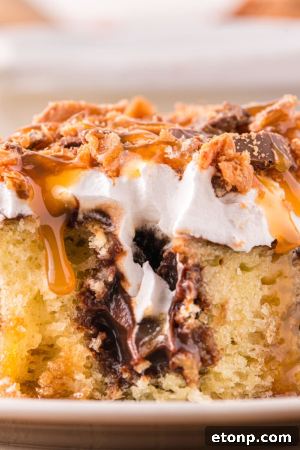 side view of cake close up