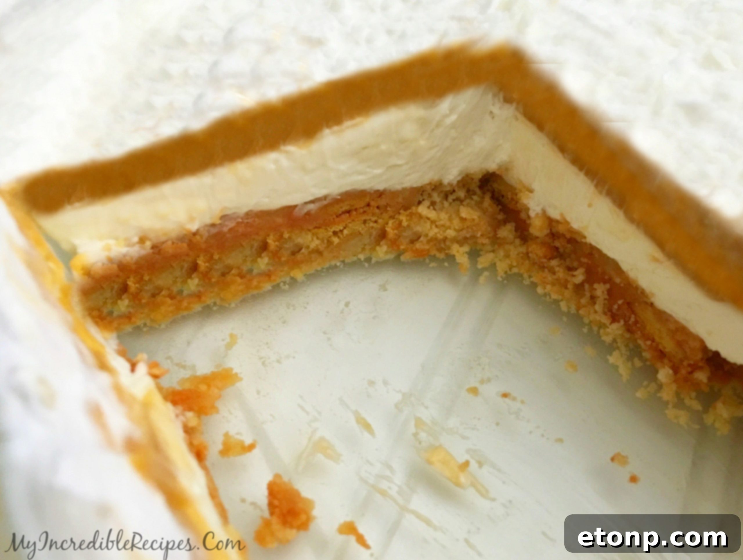 A wide view of the pumpkin cheesecake lasagna, emphasizing its generous size and inviting appearance.
