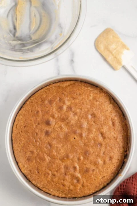 cake in pan on marble counter 