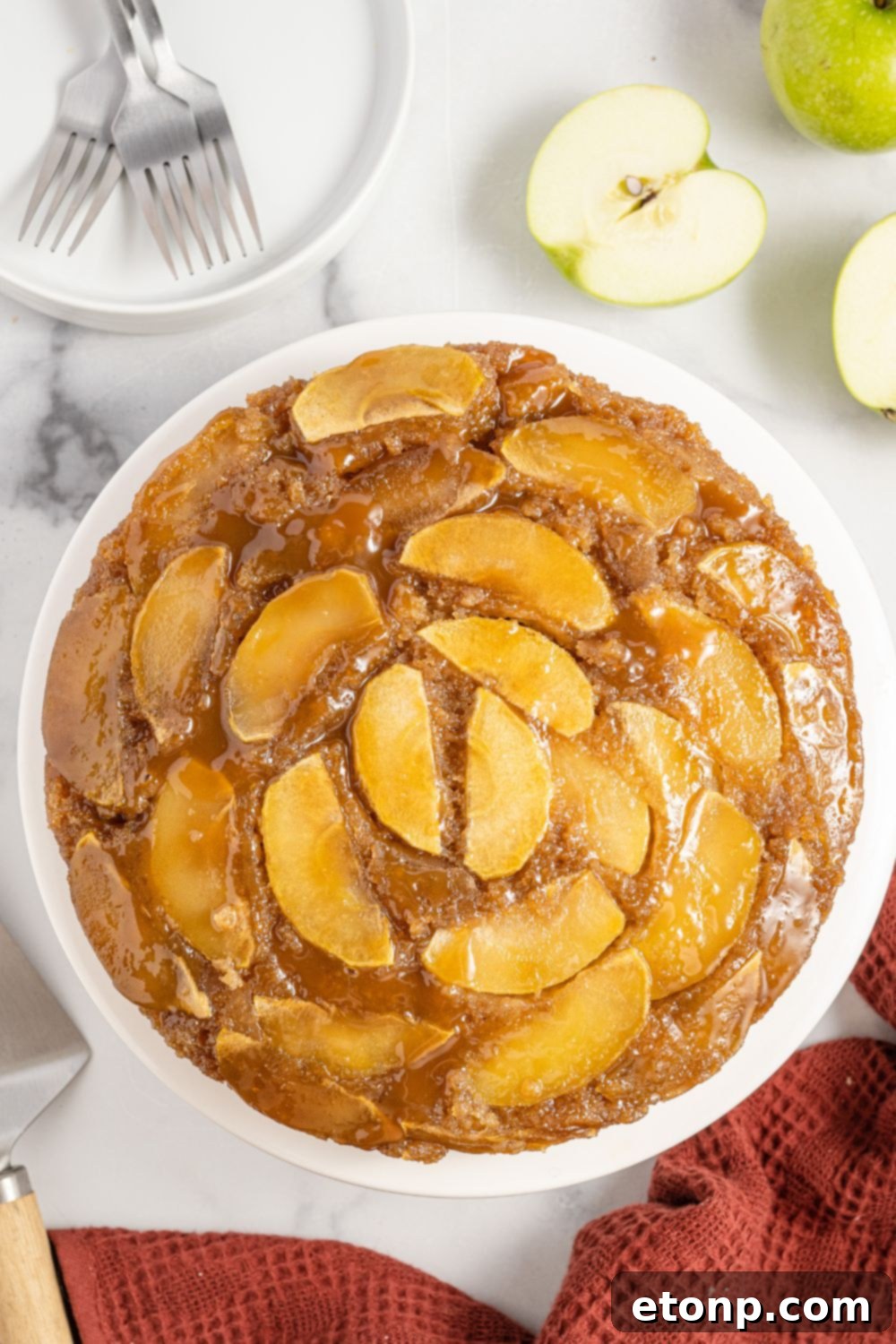overhead shot of apple upside down cake 