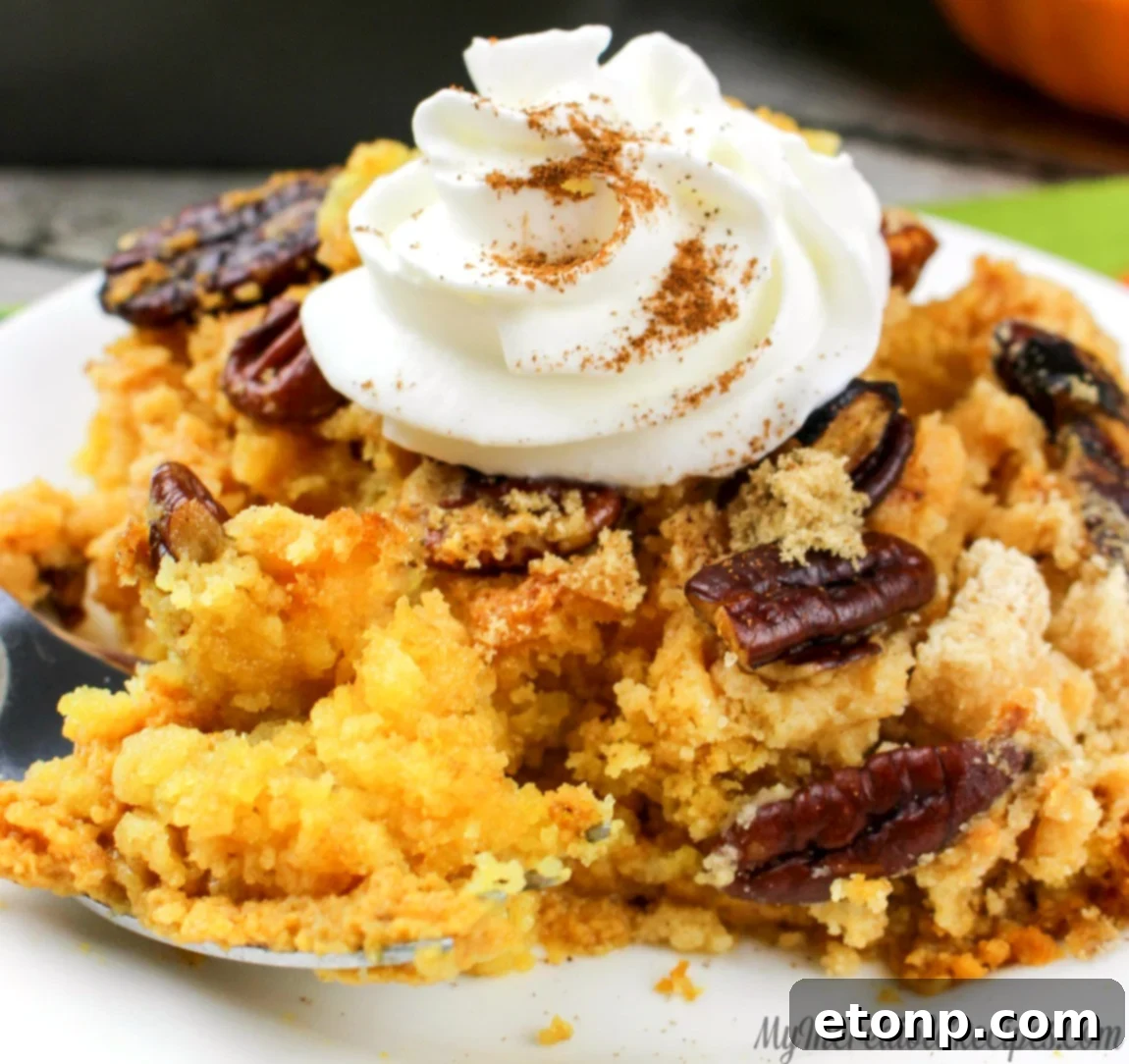Simply Divine Pumpkin Pecan Dump Cake 2 Delicious Pumpkin Pecan Dump Cake with a spoonful ready to be enjoyed, showcasing layers of pumpkin, cake, and pecans.