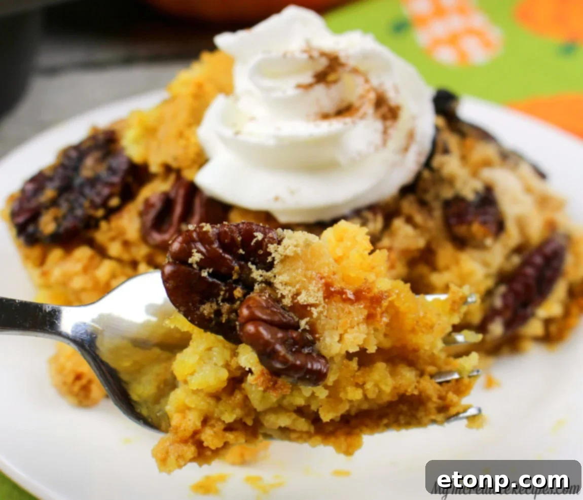 Simply Divine Pumpkin Pecan Dump Cake 14 Another angle of the cake in a baking dish, emphasizing its golden-brown top and inviting texture, ready for slicing.