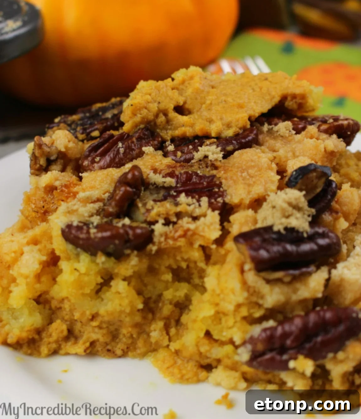 Simply Divine Pumpkin Pecan Dump Cake 16 A slice of Pumpkin Pecan Dump Cake topped with a generous swirl of whipped cream and a hint of cinnamon.