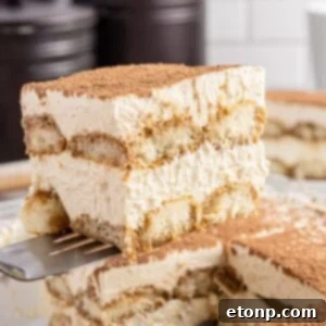 A top-down view of a ready-to-serve Easy Tiramisu, beautifully garnished and showing its creamy texture.