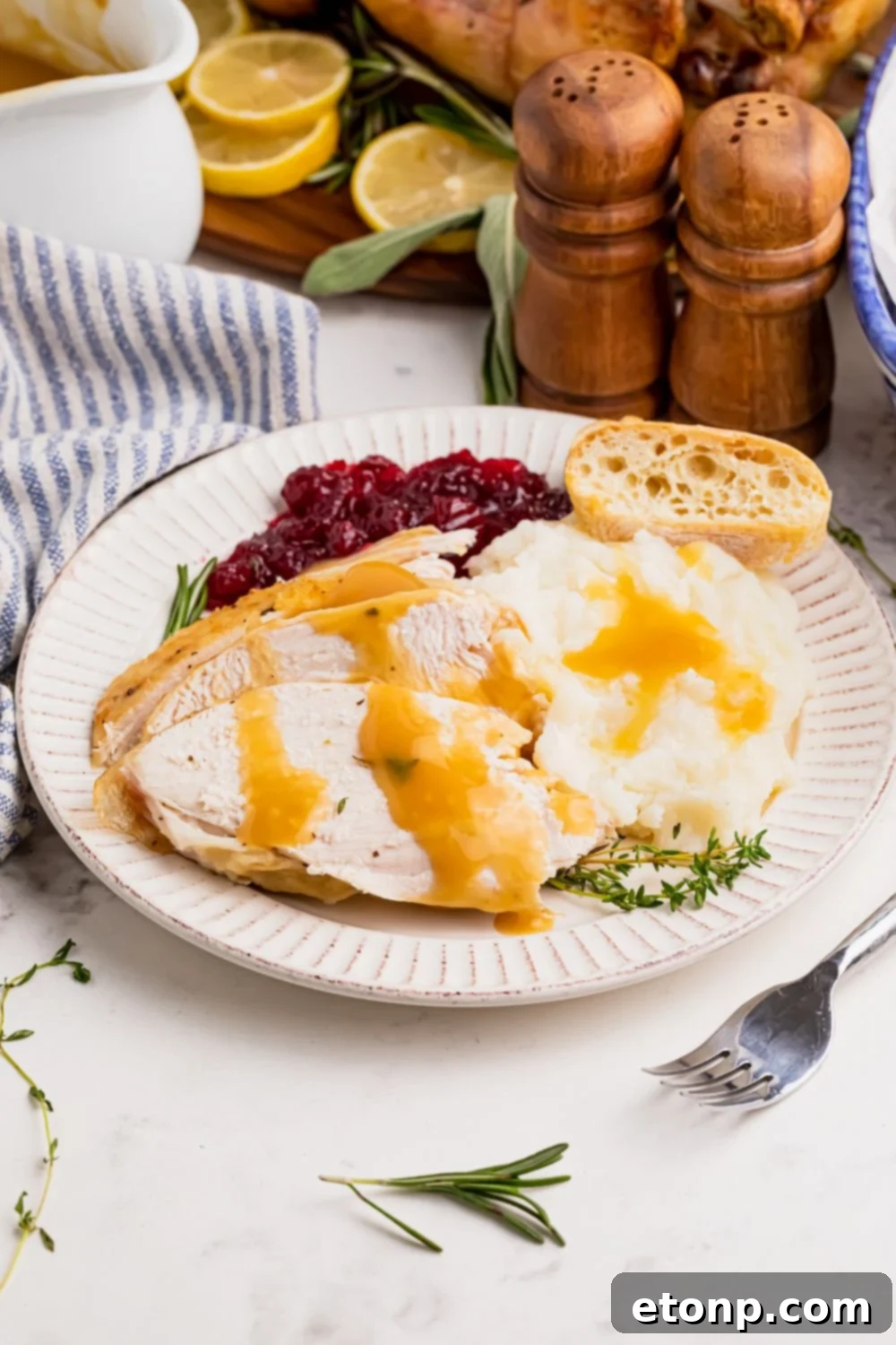 roasted turkey on plate with cranberry and other ingredients