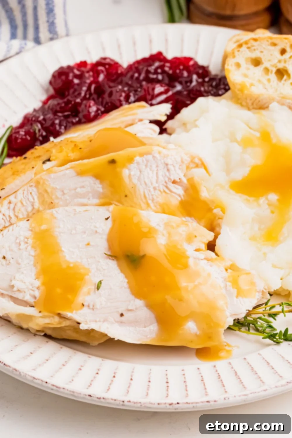 close up plate of turkey and sides on the table