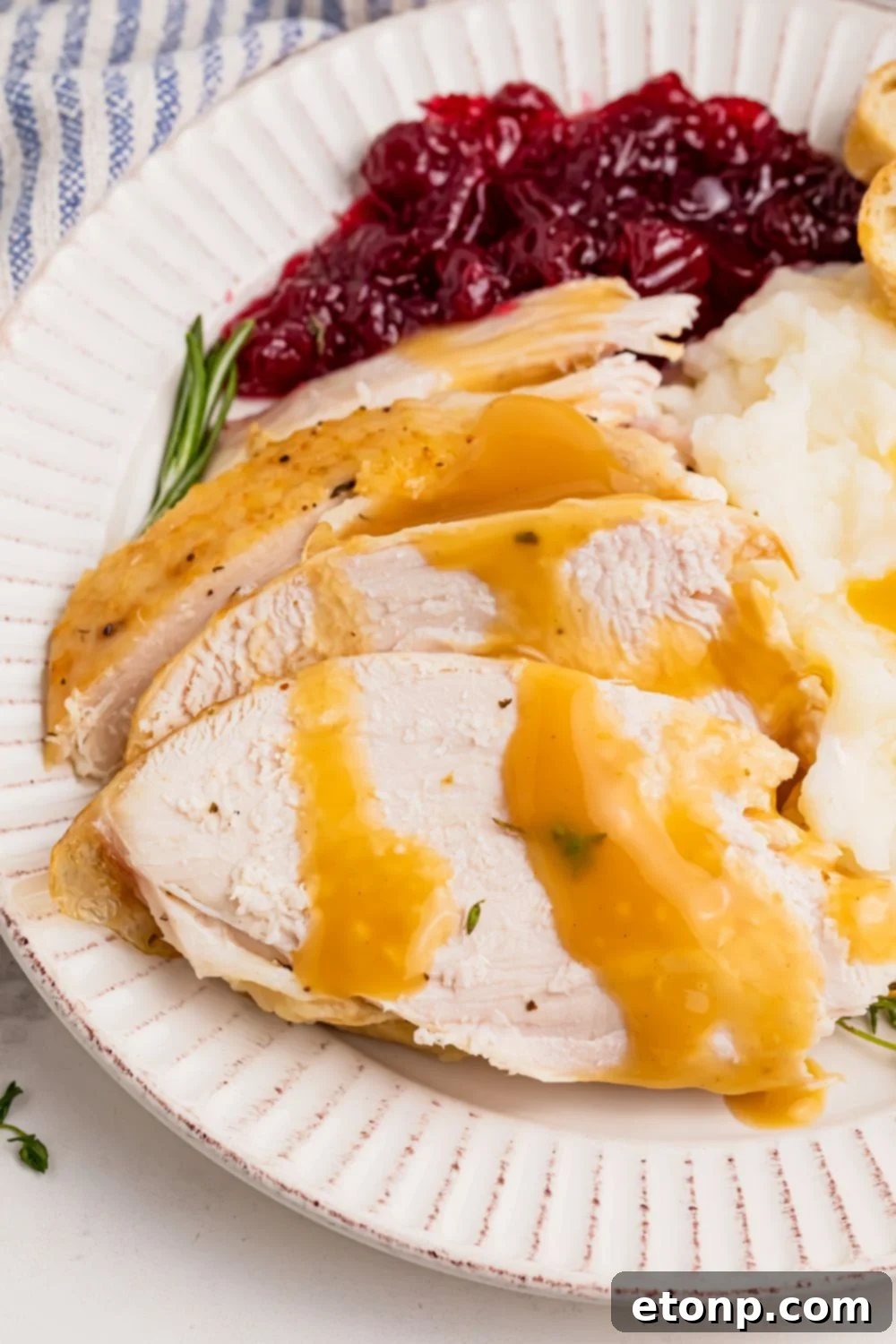 turkey sliced on plate with gravy