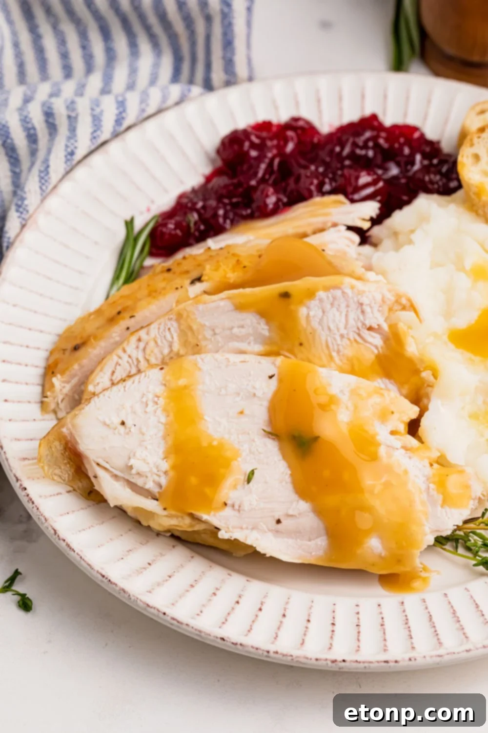 plate with turkey and gravy