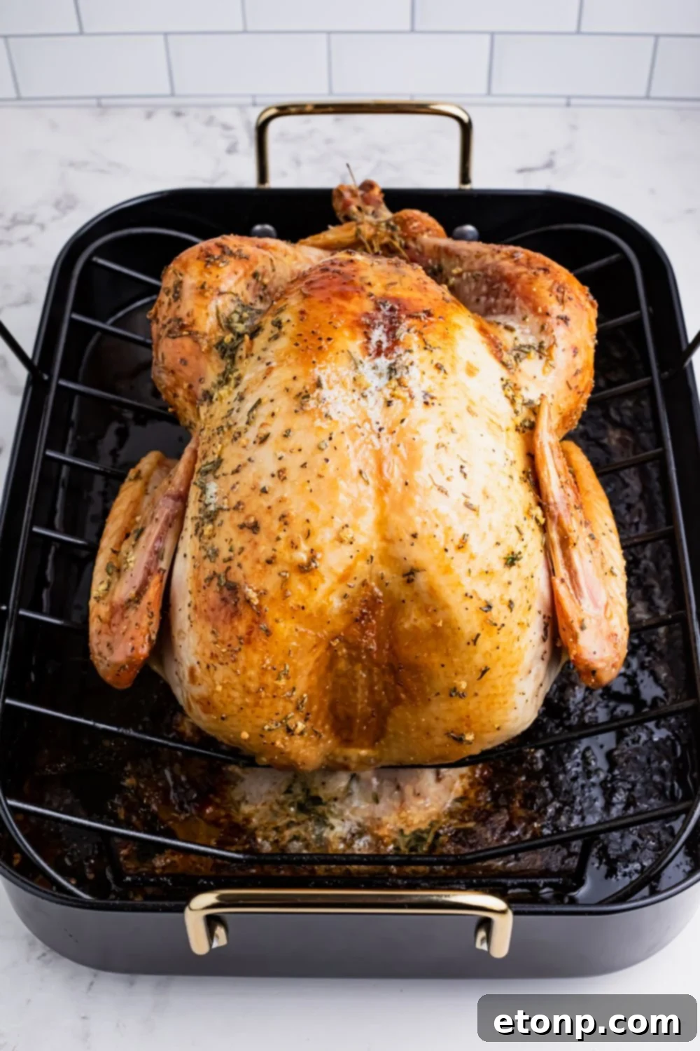 roasted turkey in a pan on table