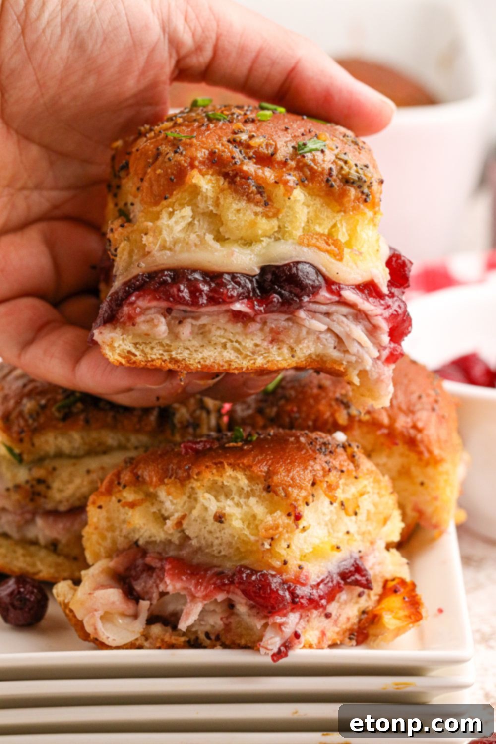 Festive Turkey Sliders 14 sliders with deli meat in hands