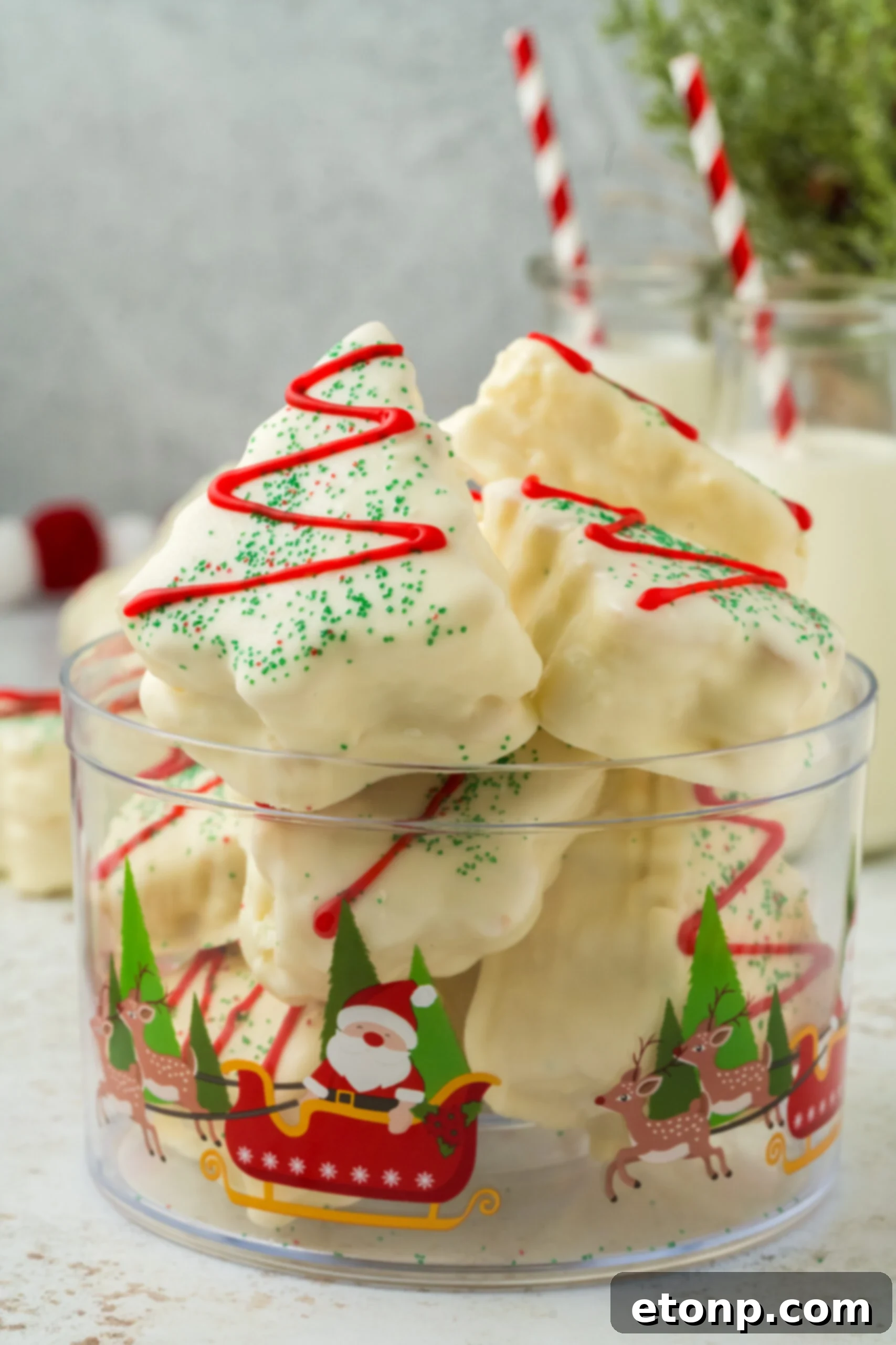 plastic container with mini cakes inside
