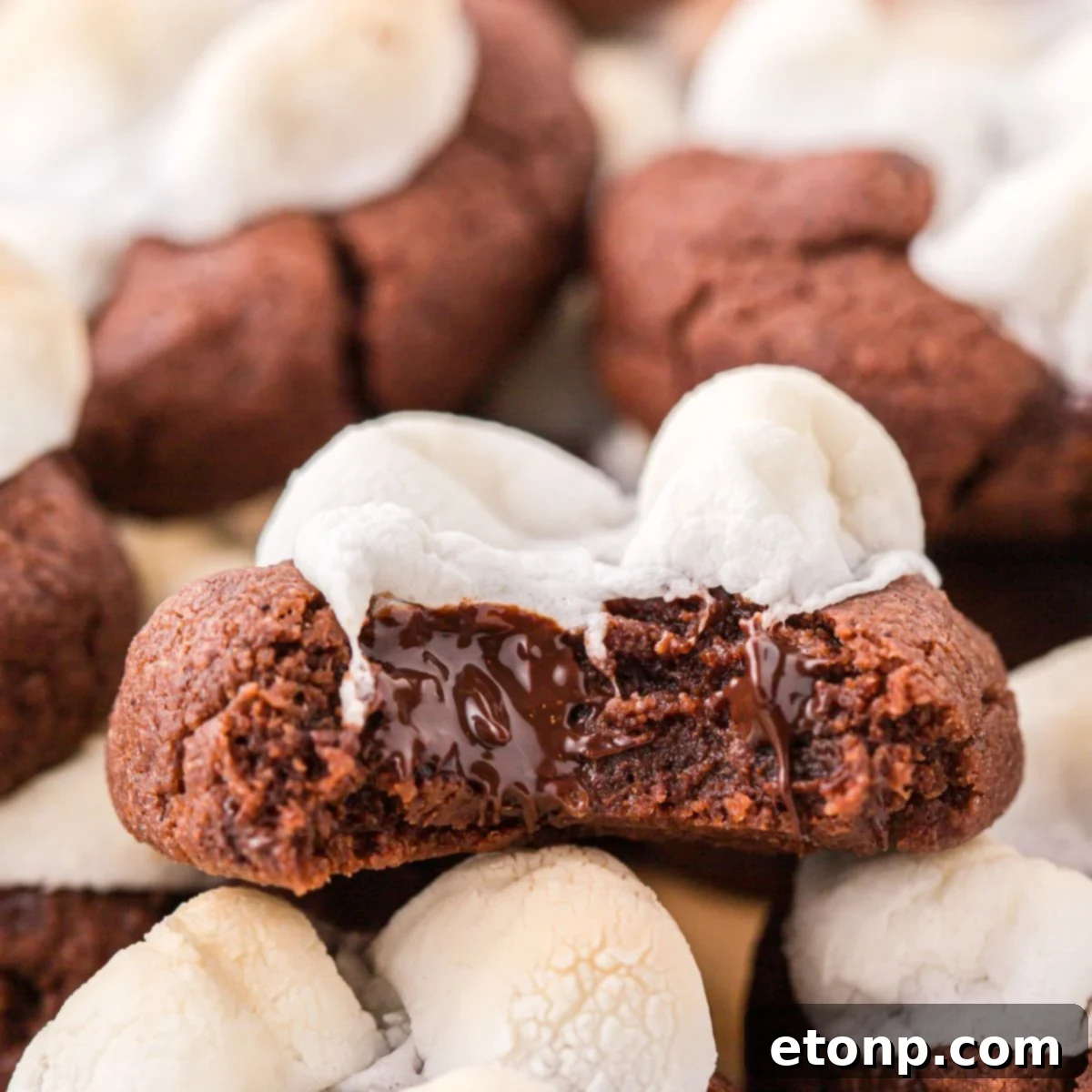 A delicious hot chocolate cookie with a bite taken out, showcasing the gooey marshmallow and chocolatey center.