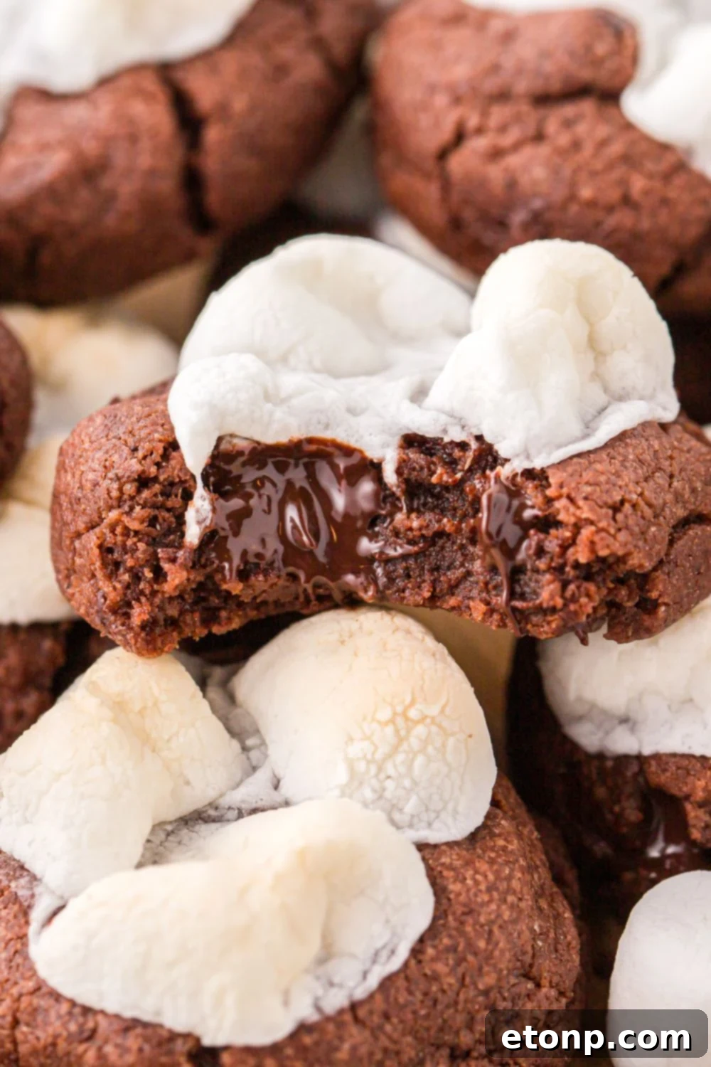 Close-up of a hot chocolate cookie with a bite taken out, showing the melted chocolate and marshmallow.