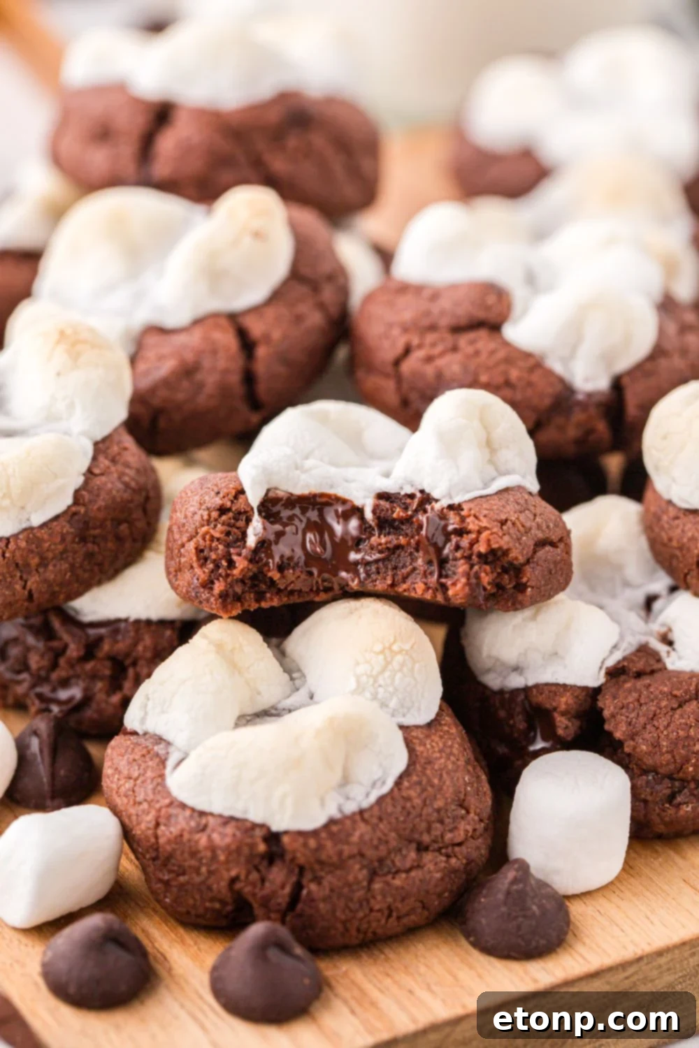 A mix of hot chocolate powder, marshmallows, and chocolate chips, hinting at the cookie flavors.
