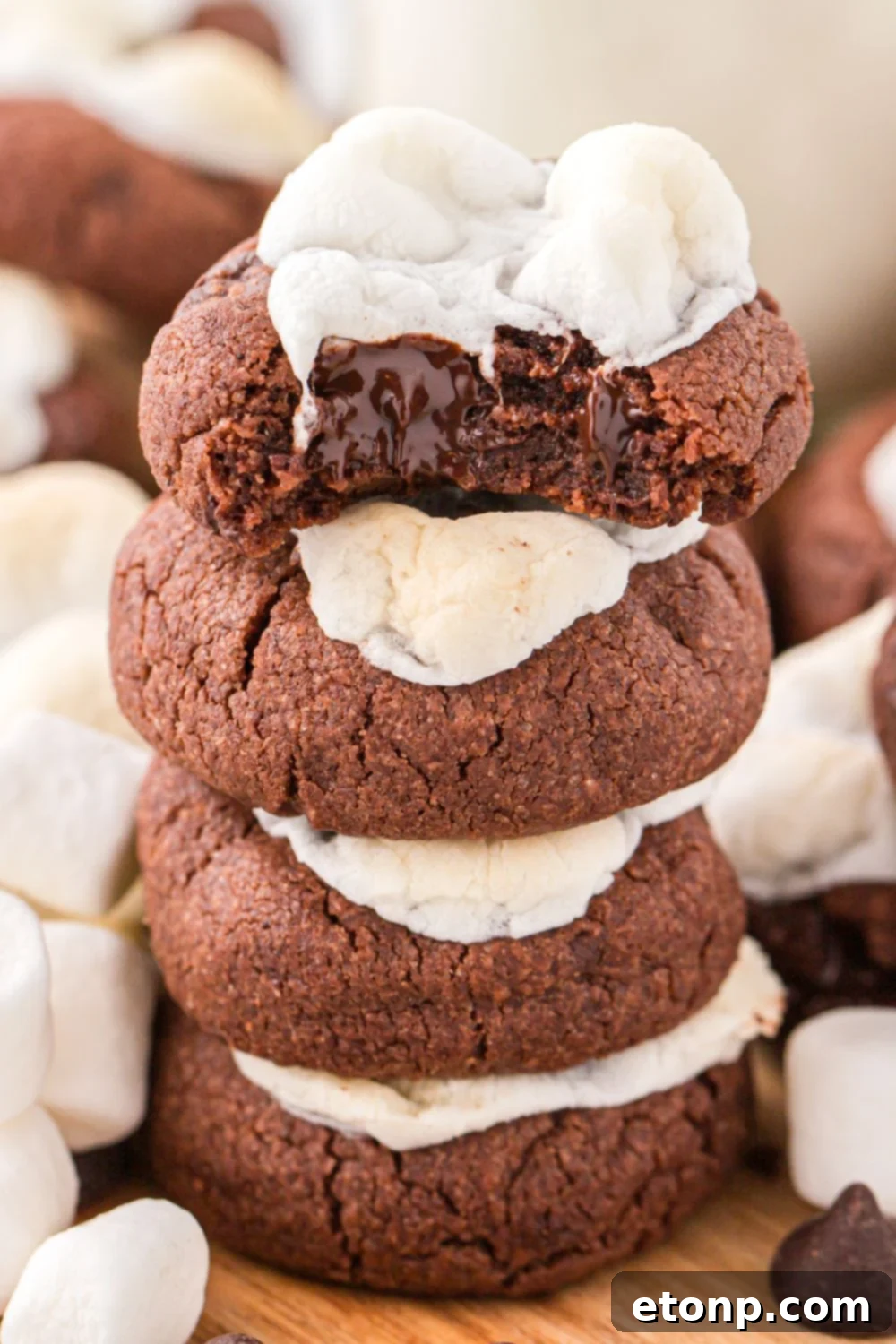 A stack of hot chocolate cookies on a table, with a bite taken from the top cookie, revealing the rich chocolatey interior.