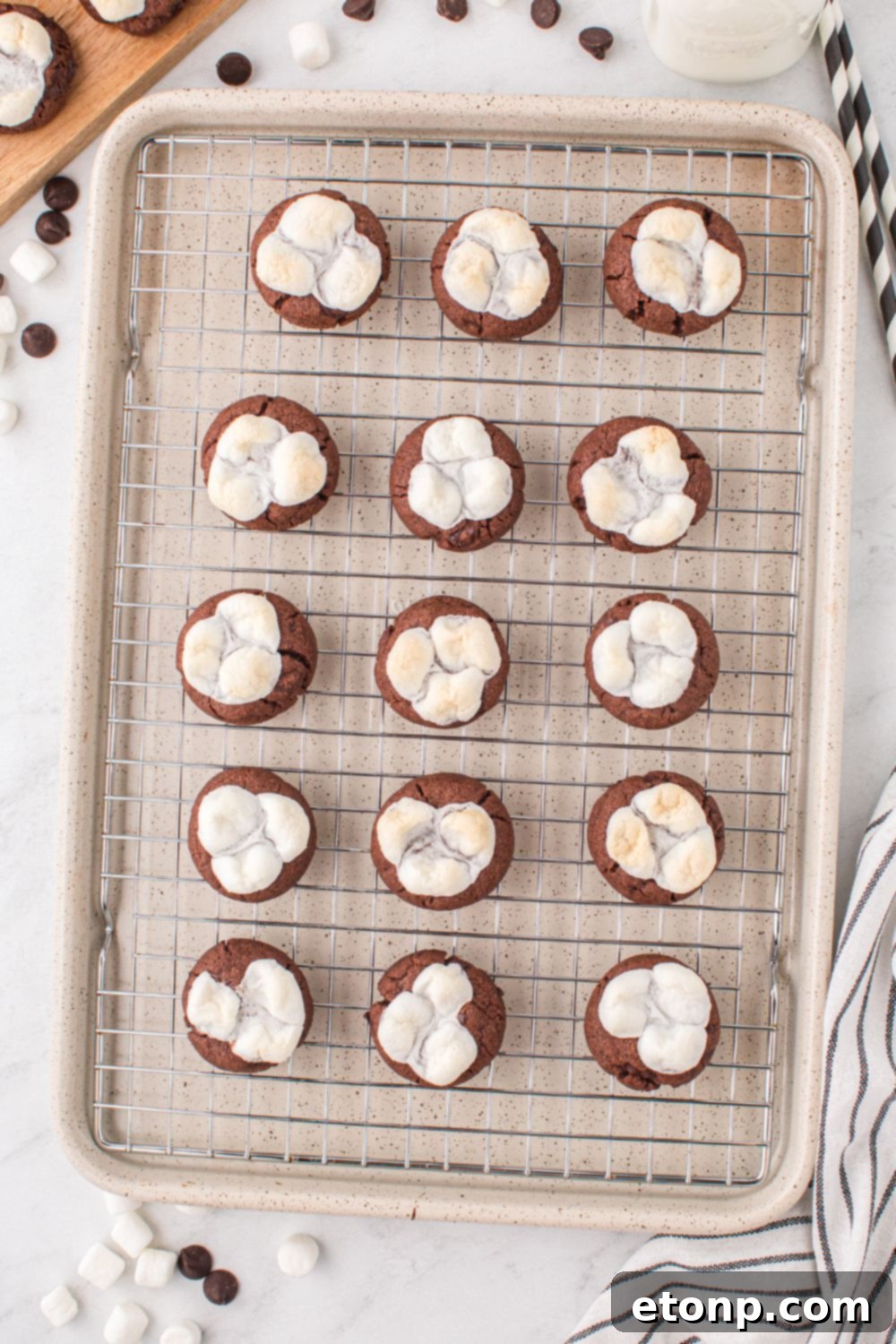 Overhead view of hot chocolate cookies, fresh from the oven, topped with perfectly melted, golden marshmallows.