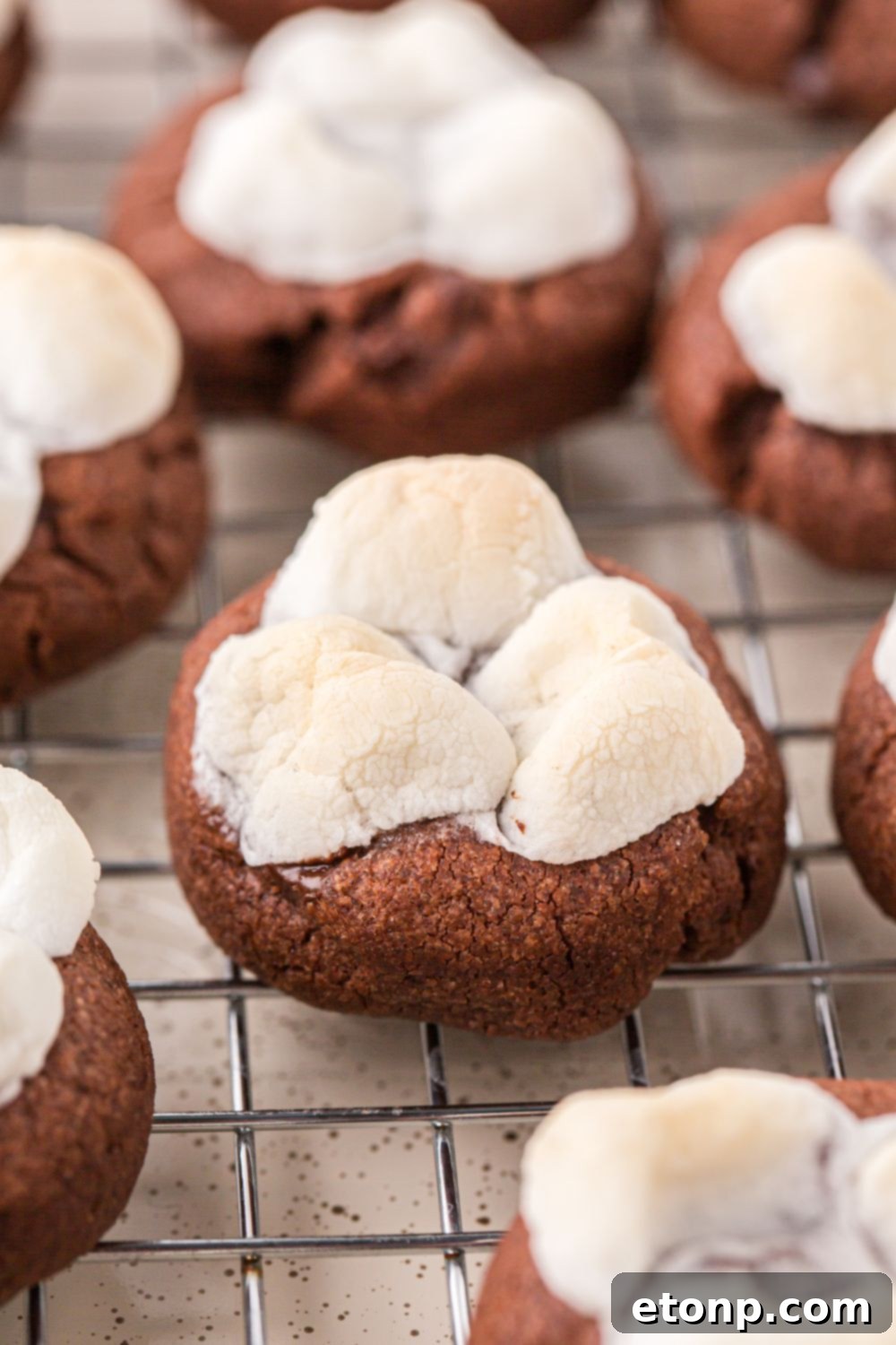 Freshly baked hot chocolate cookies cooling on a wire rack, ready to be enjoyed.