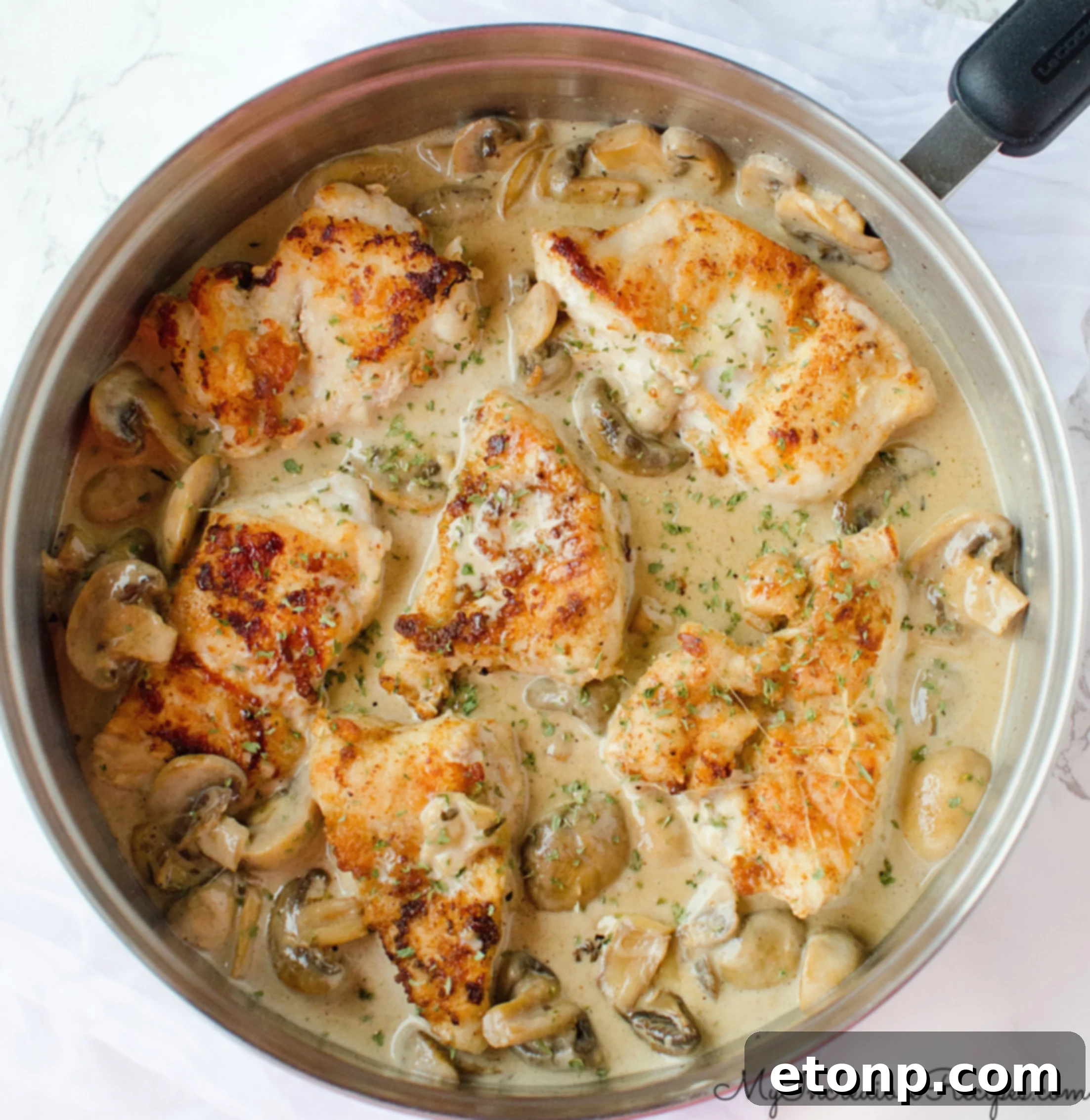 Delicious Creamy Asiago Chicken dish, ready to serve
