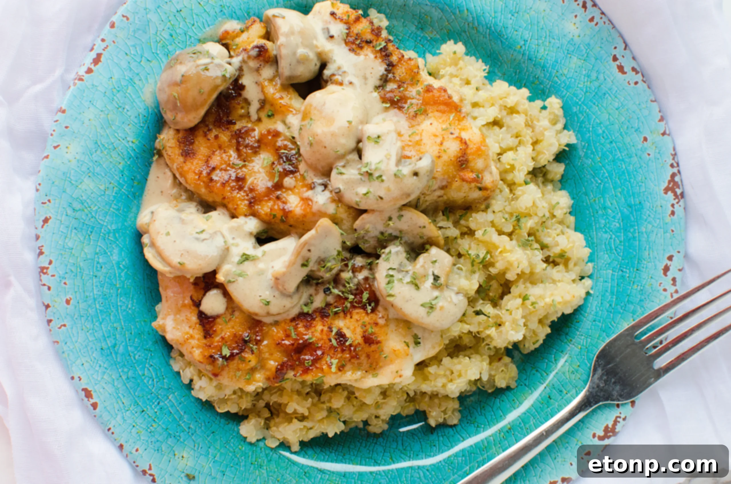 Creamy Asiago Chicken served over a bed of pasta with fresh parsley