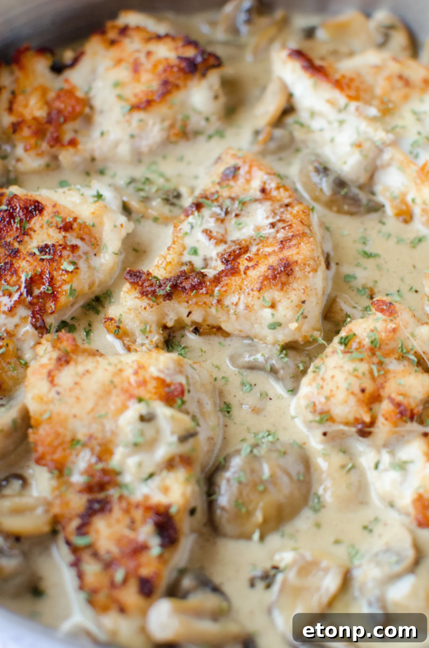 A serving of Creamy Asiago Chicken garnished with fresh parsley