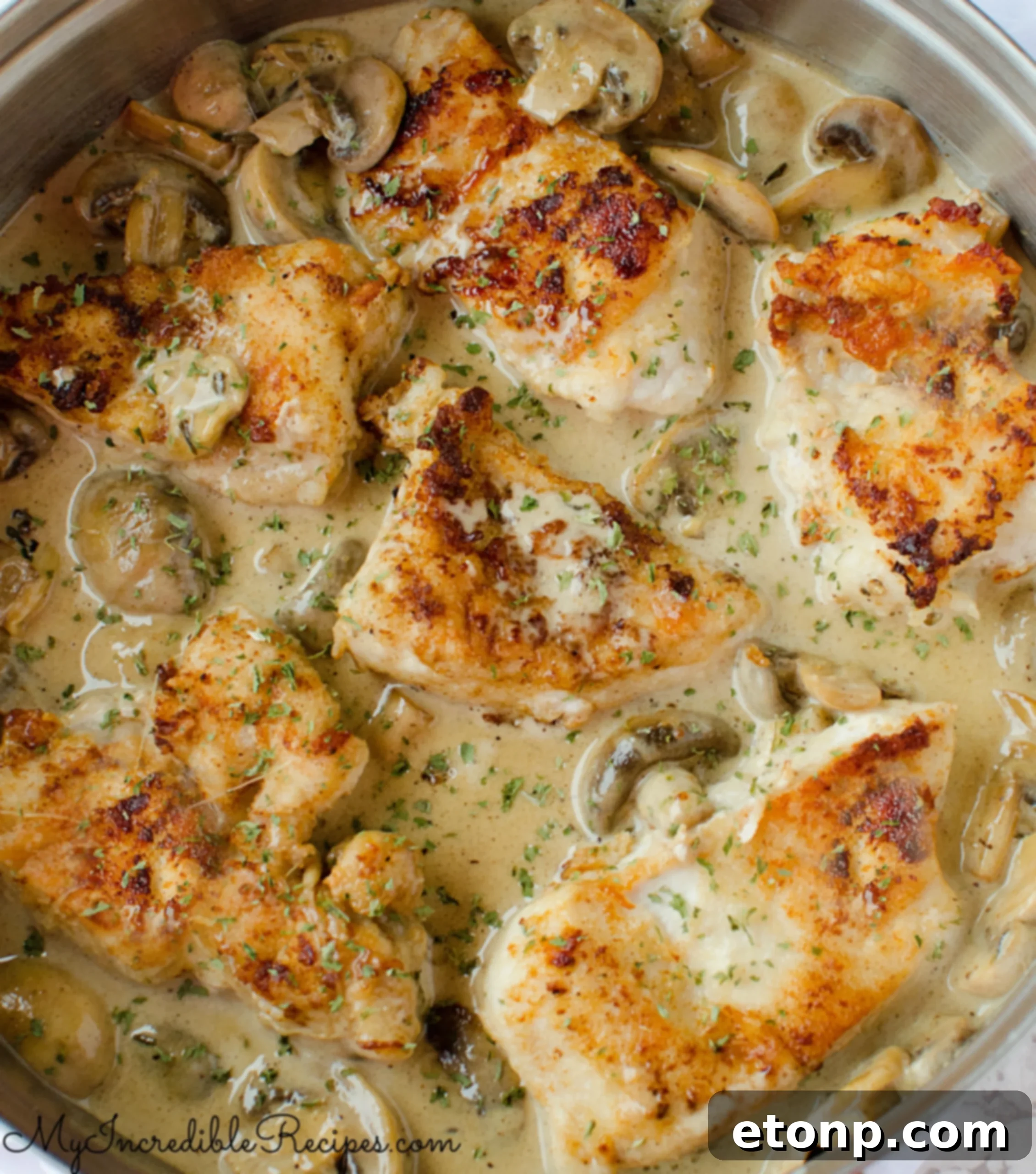 A close-up of the rich, creamy Asiago sauce coating the chicken