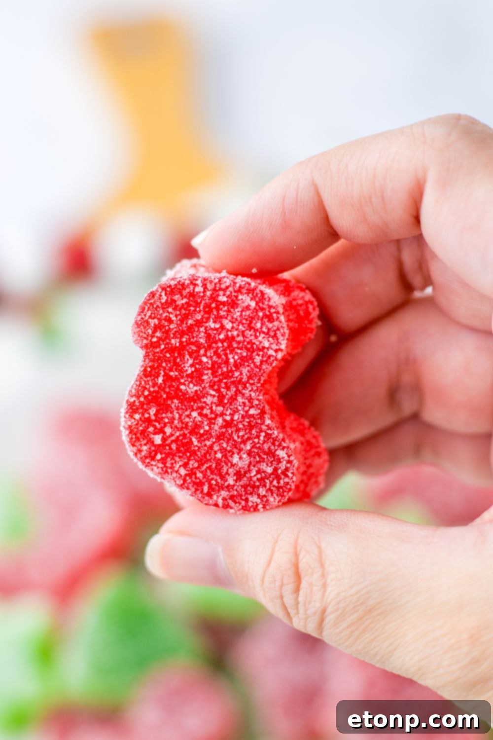 Holiday Gumdrop Gems 20 A hand holding a perfectly coated Christmas gumdrop