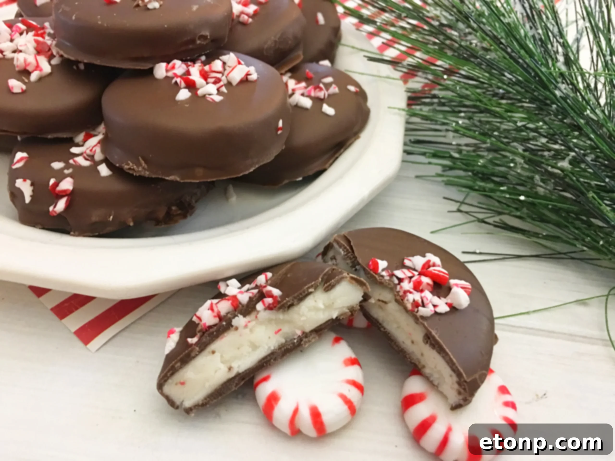 A shot showing the side profile of a finished peppermint patty, emphasizing its thickness and the layers of chocolate and mint.