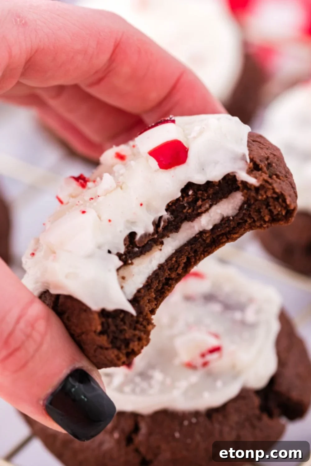 Molten Peppermint Patty Chocolate Cookies 15 A hand holding a chocolate peppermint cookie with a bite taken out