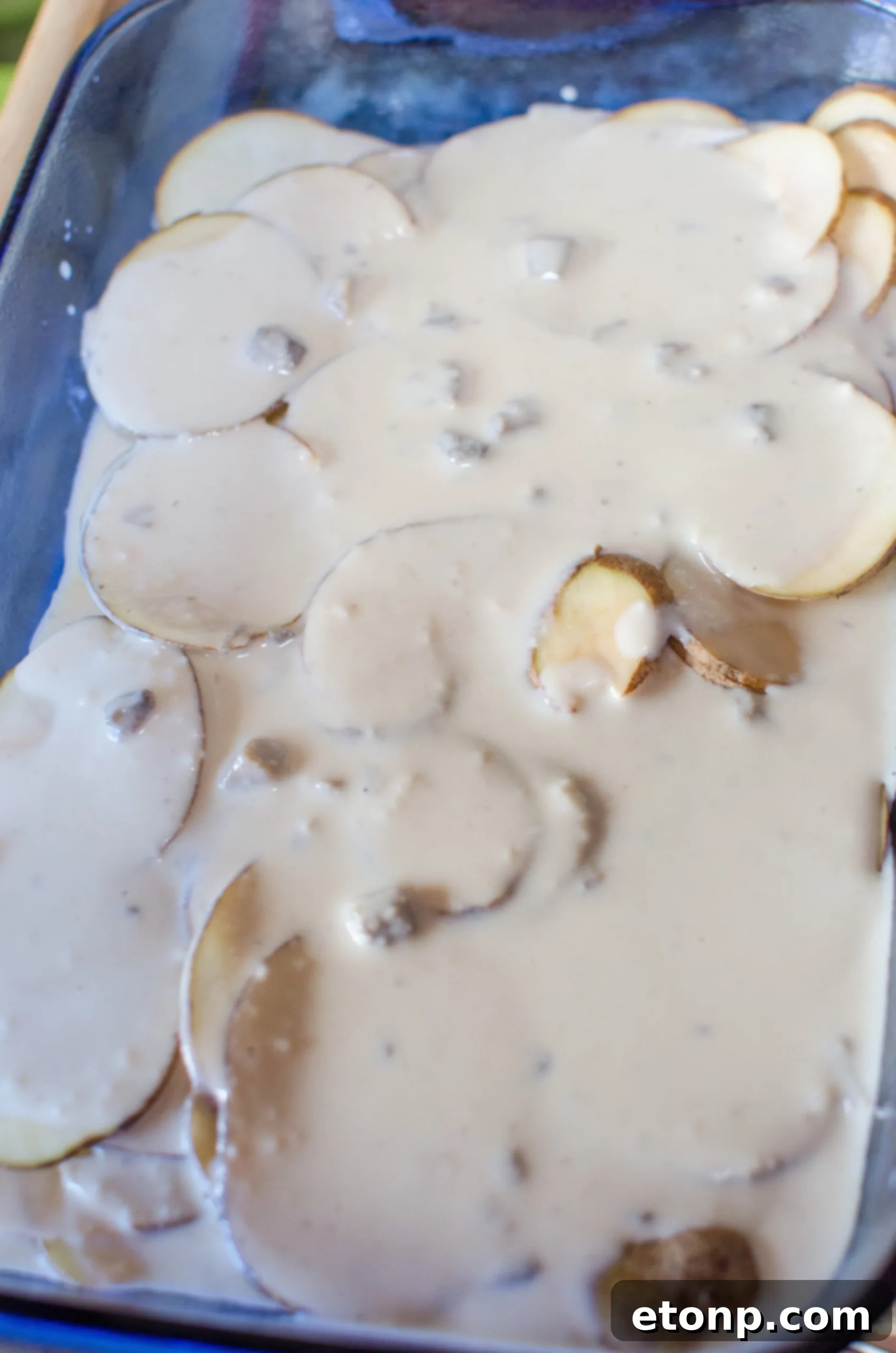 Smothered Pork Chops and Scalloped Potatoes Casserole 4 Raw boneless pork chops seasoned and ready for searing, showing a blend of spices.