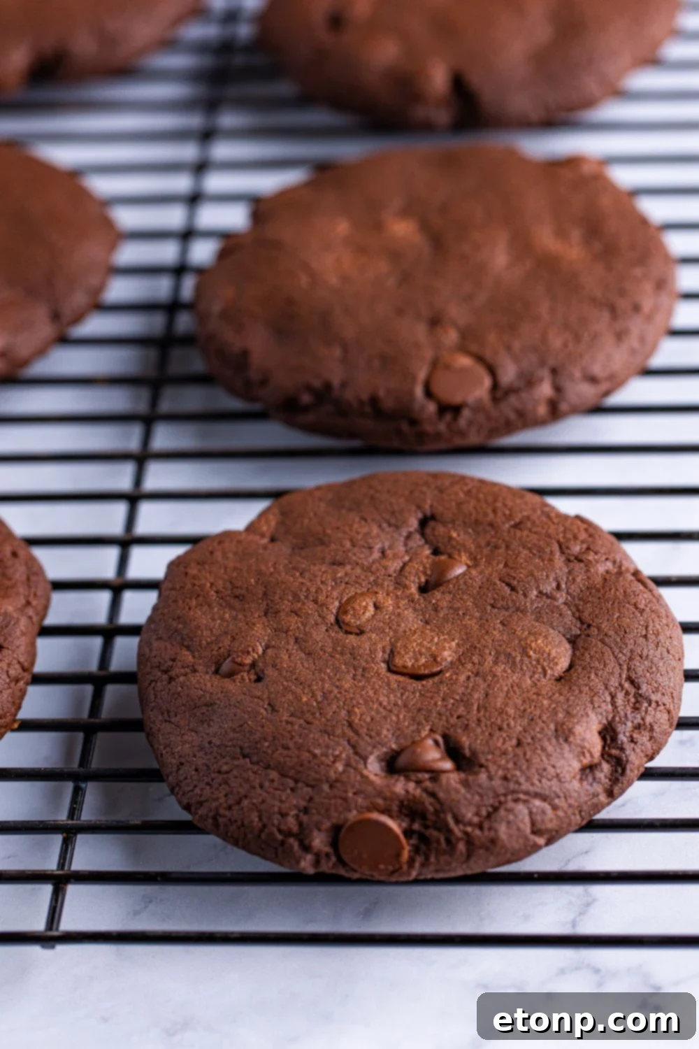 Decadent Chocolate Cake Cookies 13 Soft-baked chocolate cake cookies cooling on a wire rack, perfectly rounded and awaiting their frosting.