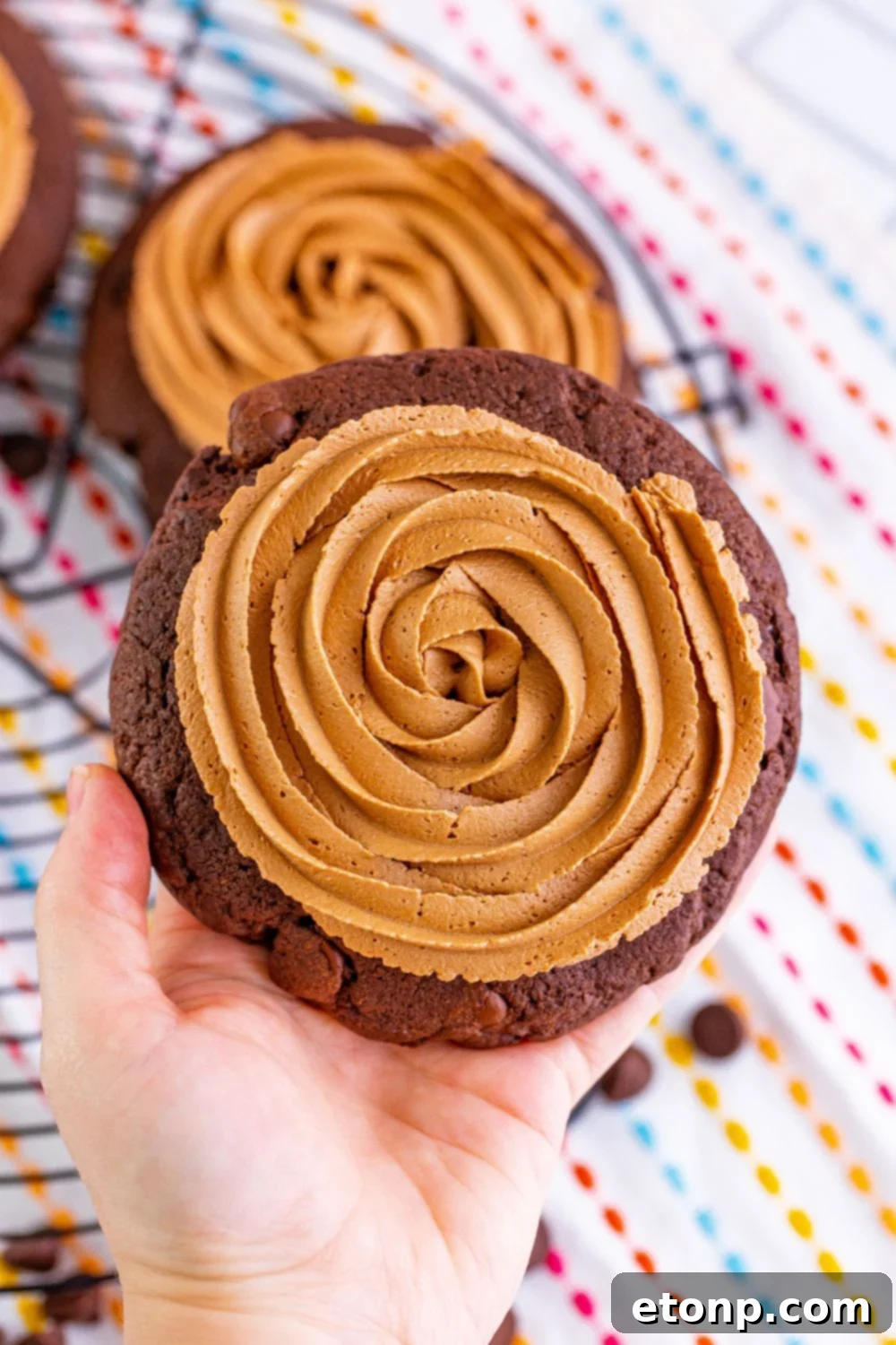 Decadent Chocolate Cake Cookies 19 A hand gently holding a soft-baked chocolate cake cookie with chocolate fudge frosting.