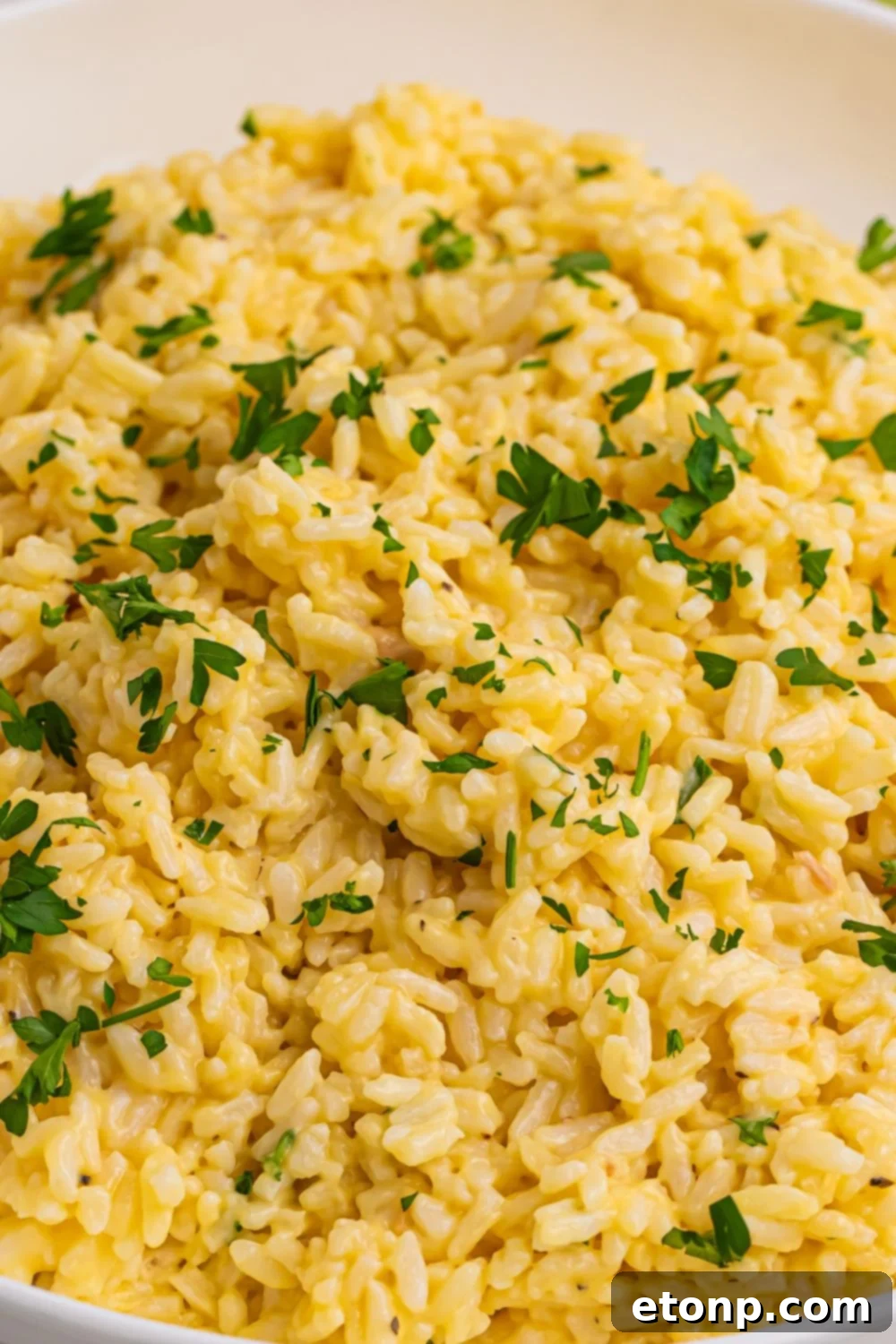 Souper Rice in a bowl with parsley chopped and sprinkled on top of rice 