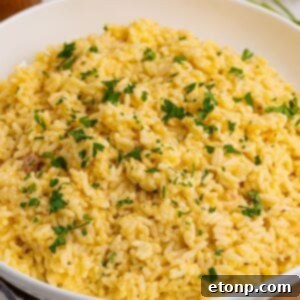 Souper Rice in a white bowl with some parsley garnished on top