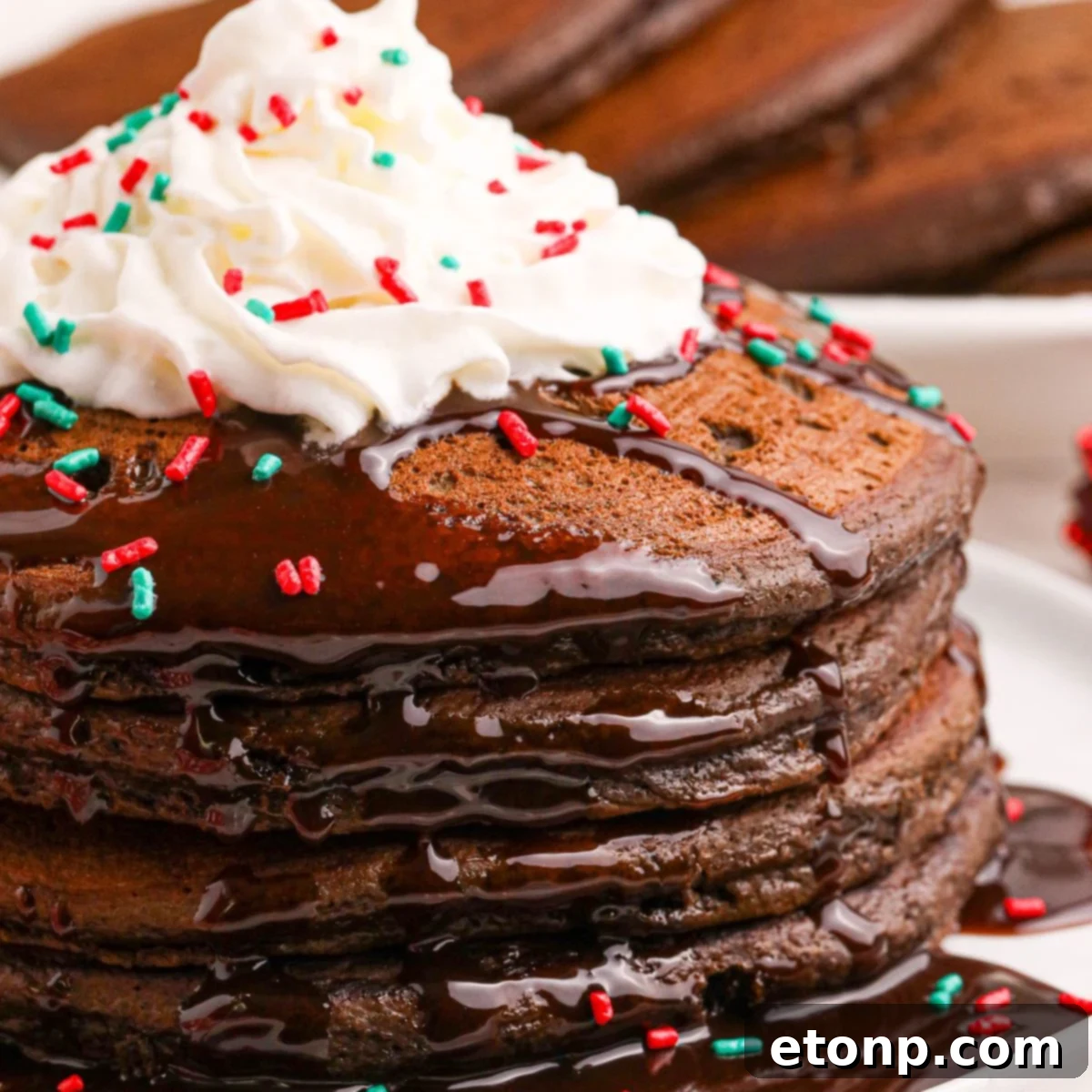 A stack of golden brown Hot Chocolate Pancakes adorned with a generous swirl of whipped cream, chocolate syrup, and colorful holiday sprinkles, ready to be enjoyed for breakfast or brunch.