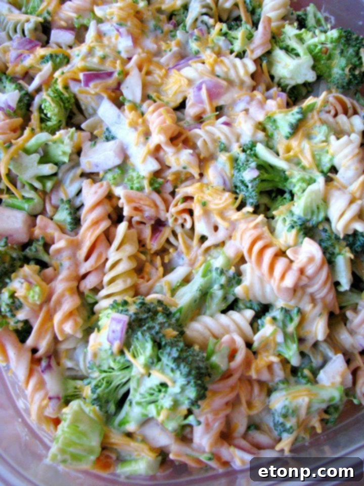 Creamy Broccoli Cheddar Pasta Salad, a delicious and classic family favorite.