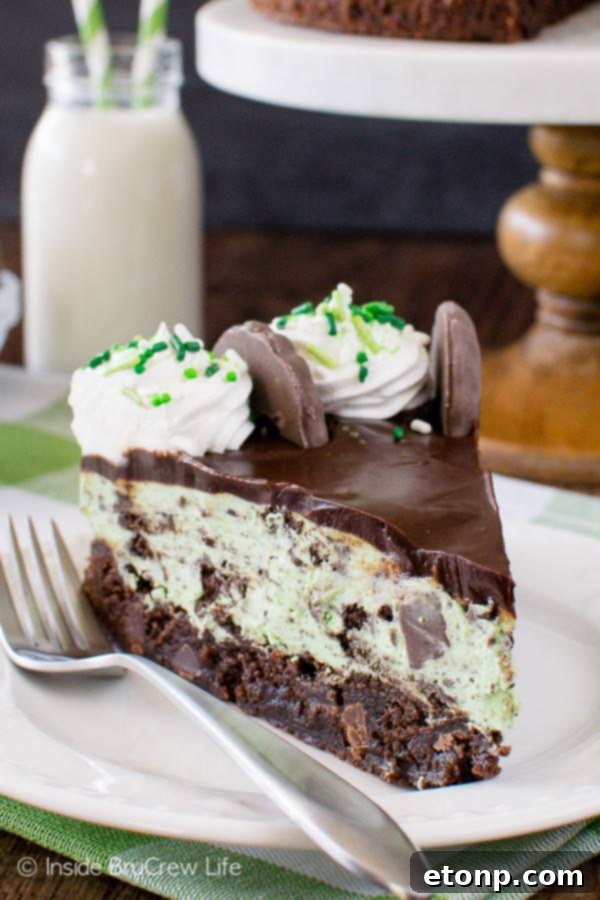 Decadent Thin Mint Cheesecake Brownie Cake, inspired by Girl Scout Thin Mints.