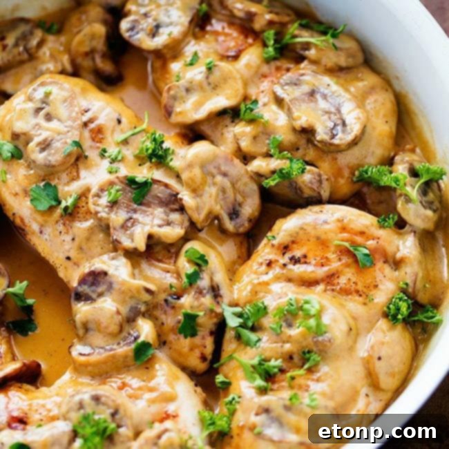 Creamy Chicken Marsala, a top-rated recipe with restaurant-quality flavor.