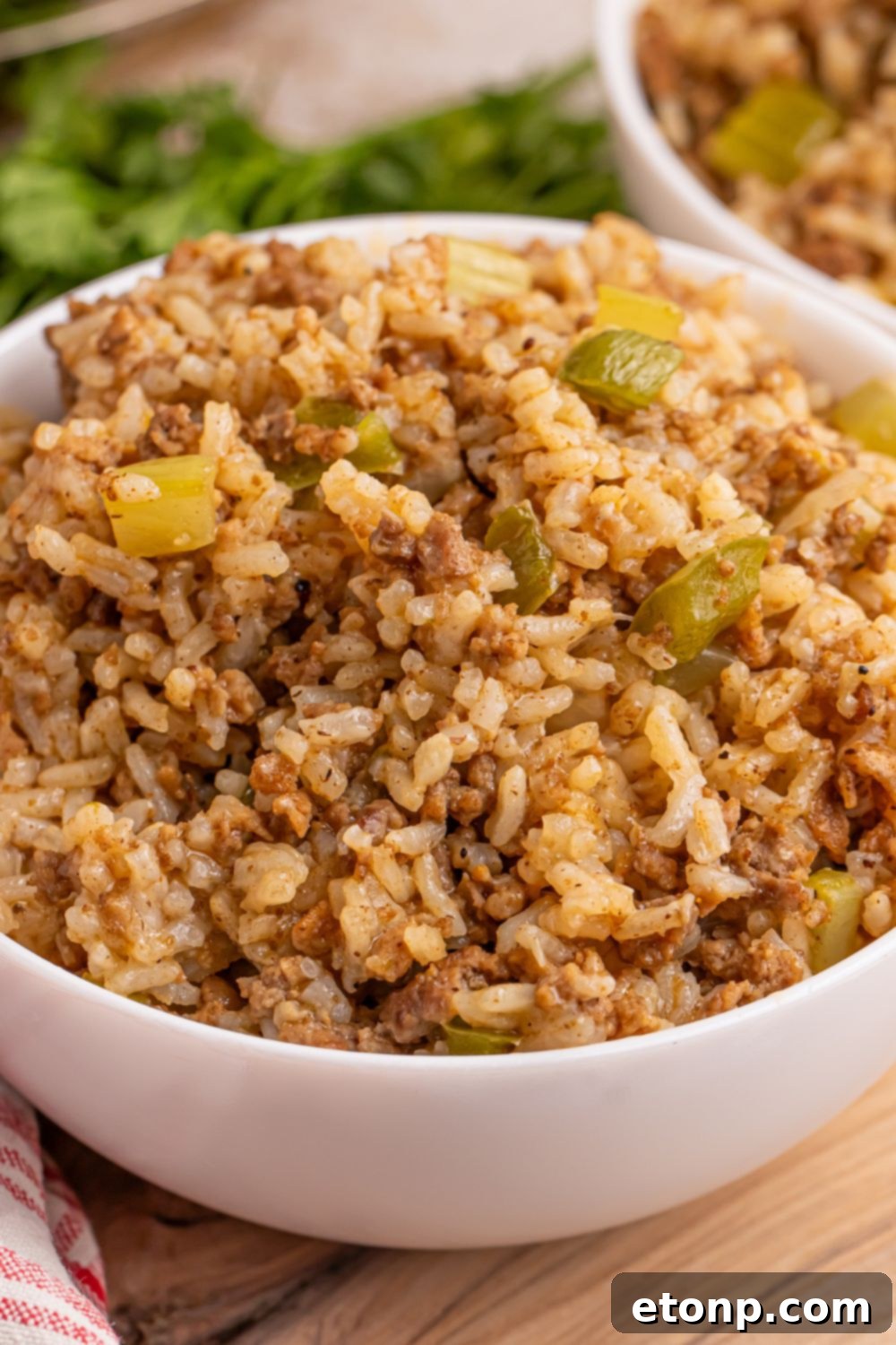 Cajun Dirty Rice 14 Dirty Rice in a bowl with close up look